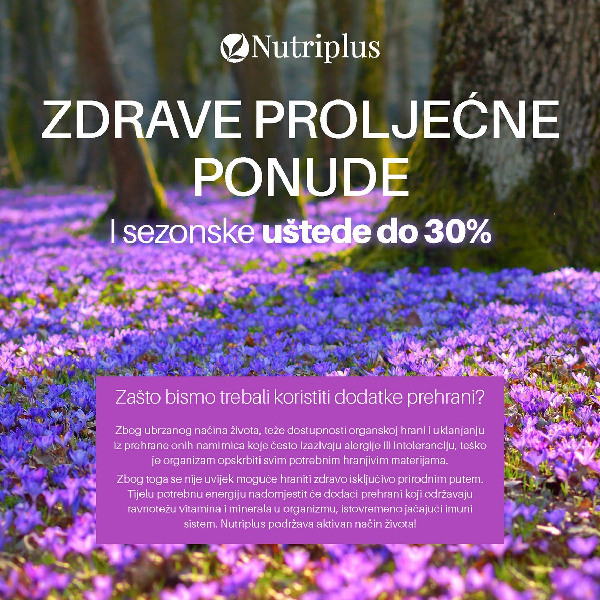 Nutriplus